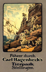 Hagenbecks Tierpark  Tierparkfuehrer  1914