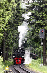 Schierke  Deutschland  Brockenbahn mit der Malletlok 99 5901