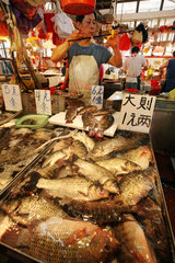 Macau  China  Fischhaendler