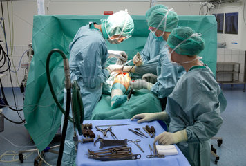 Deutschland  Krankenhaus  Operation am Knie