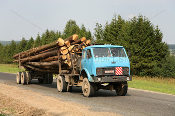 Galsany  Weissrussland  ein LKW transportiert Baumstaemme