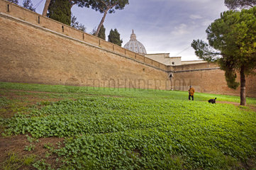 Vatikanmauer