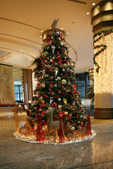 Hong Kong  China  festlich geschmueckter Weihnachtsbaum