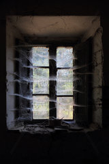 San Lorenzo  Italien  Spinnweben an einem Fenster