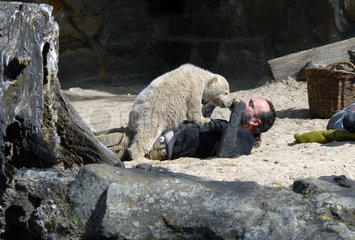 Eisbaer Knut  Tierpfleger  Berliner Zoo