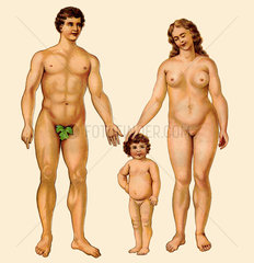 Familie  nackt  medizinische Schautafel  1900
