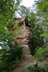 Dahn  Deutschland  Felsformation an einem Wanderweg am -kleinen Eyberg-