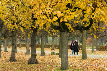 Berlin  Deutschland  ein Paar spaziert im Herbst durch einen Park
