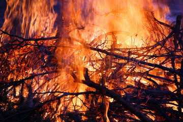 Szklarska Poreba  Polen  ein kontrolliertes Feuer im Wald