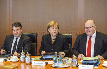 Gabriel + Merkel + Altmaier