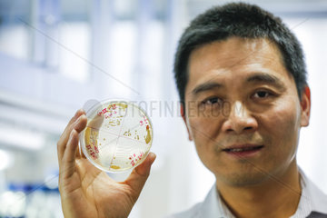 CHINA-SCIENCE-SYNTHETIC YEAST CHROMOSOMES (CN)