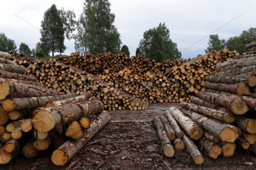 Aelvsered  Schweden  Baumstaemme in einem Saegewerk