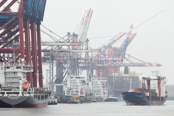 Hamburg  Deutschland  Containerschiffe am Containerterminal Eurogate