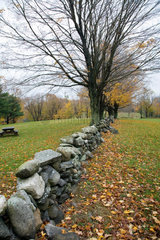 Connecticut  Herbstimpressionen in einem Park