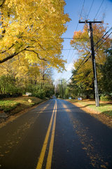 Connecticut  Landstrasse im Herbst