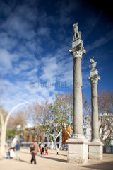 Sevilla  Spanien  roemische Saeulen am Alameda de Hercules Platz