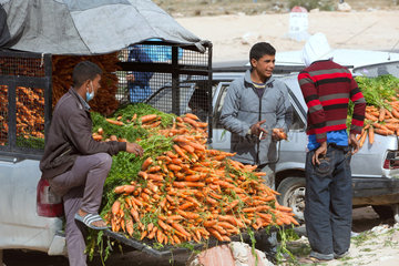 Ben Gardane  Tunesien  Strassenhaendler verkaufen Karotten an Fluechtlinge