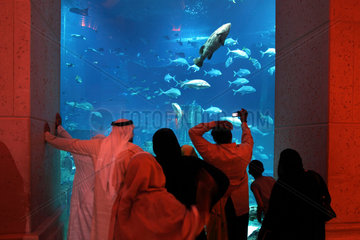 Dubai  Vereinigte Arabische Emirate  Hotelgaeste vor der Ambassador Lagoon