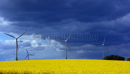 Groemitz  Deutschland  Windkraftraeder hinter einem Rapsfeld vor blauem Himmel