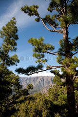 Mirador de Los Roques  Spanien  Aussicht im Nationalpark Caldera de Taburiente