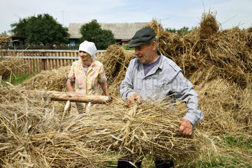 Gruszauka  Weissrussland  altes Bauernpaar bei der traditionellen Getreideernte