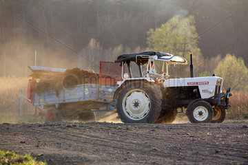 Prangendorf  Traktor am Morgen auf dem Feld