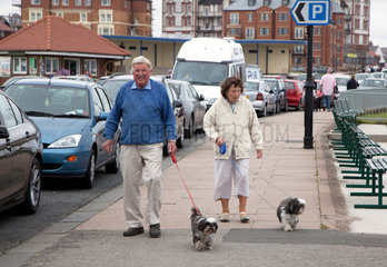 Whitby  Grossbritannien  Rentner machen einen Spaziergang mit ihren Hunden