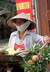 Hanoi  Vietnam  Marktfrau