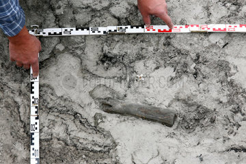 Cottbus  Deutschland  archaeologische Ausgrabungsstaette im Braunkohletagebau Jaenschwalde