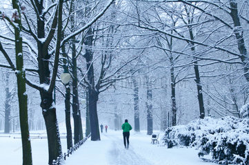Berlin  Deutschland  Jogger im verschneiten Tiergarten