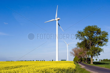 Neuruppin  Deutschland  Windkraftraeder auf einem Rapsfeld