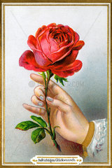 Hand mit Rose  1886