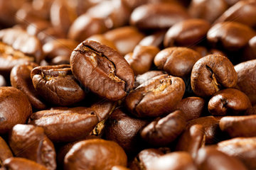 Berlin  Deutschland  industriell geroesteter Kaffee aus afrikanischen Plantagen-Kaffeebohnen