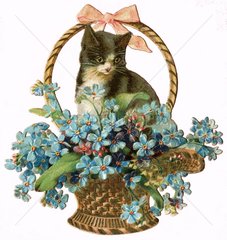Blumenkorb mit Katze  um 1885