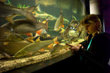 Waren (Mueritz)  Deutschland  ein Maedchen vor einem Aquarium im Mueritzeum