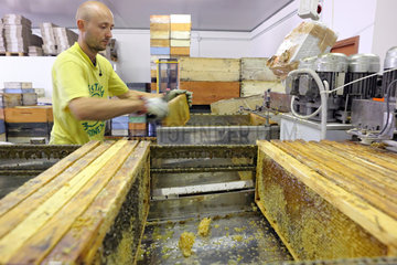 Castel Giorgio  Italien  Imker bei der Honigverarbeitung