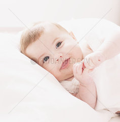 Baby  portrait