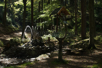 Tambach-Dietharz  Deutschland  ein Waldweg mit Springbrunnen im Thueringer Wald