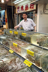 Hong Kong  China  Mann bietet Meeresfruechte auf einem Markt