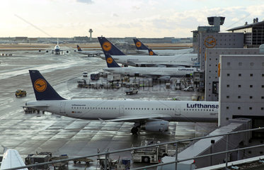 Frankfurt am Main  Deutschland  Flugzeuge der Lufthansa auf dem Flughafen Frankfurt