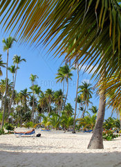Punta Cana  Dominikanische Republik  Playa Bavaro