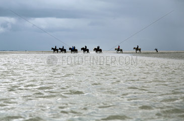 Cuxhaven  Deutschland  Ausflug zu Pferd im Wattenmeer zwischen der Insel Neuwerk und Cuxhaven