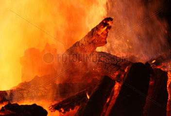 Wandlitz  Deutschland  brennende Holzscheite im Lagerfeuer