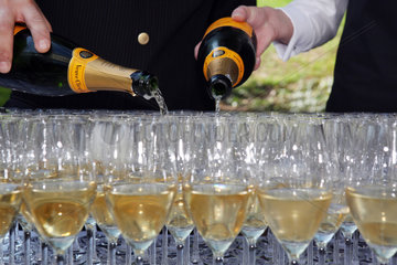 Iffezheim  Deutschland  Glaeser werden mit Champagner gefuellt