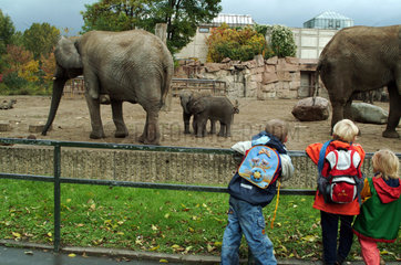 Berlin  Deutschland  Kinder betrachten Elefanten im Tierpark Berlin-Friedrichsfelde