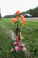 Gomel  Weissrussland  ein Kreuz mit Blumen gedenkt am Strassenrand an einen Verkehrstoten