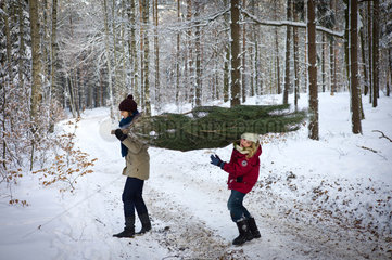 Wandlitz  Deutschland  Menschen beim Weihnachtsbaum schlagen