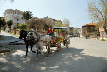 Heybeliada  Istanbul  Tuerkei  Pferdekutsche auf Heybeliada