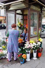Budapest  Ungarn  Blumenfrau verkauft Blumen an eine Kundin im Arbeitskittel