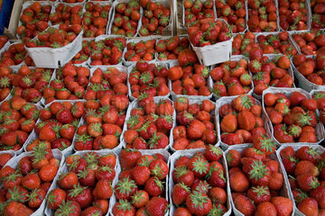 Berlin  Deutschland  Erdbeeren an einem tuerkischen Verkaufsstand auf einem Markt